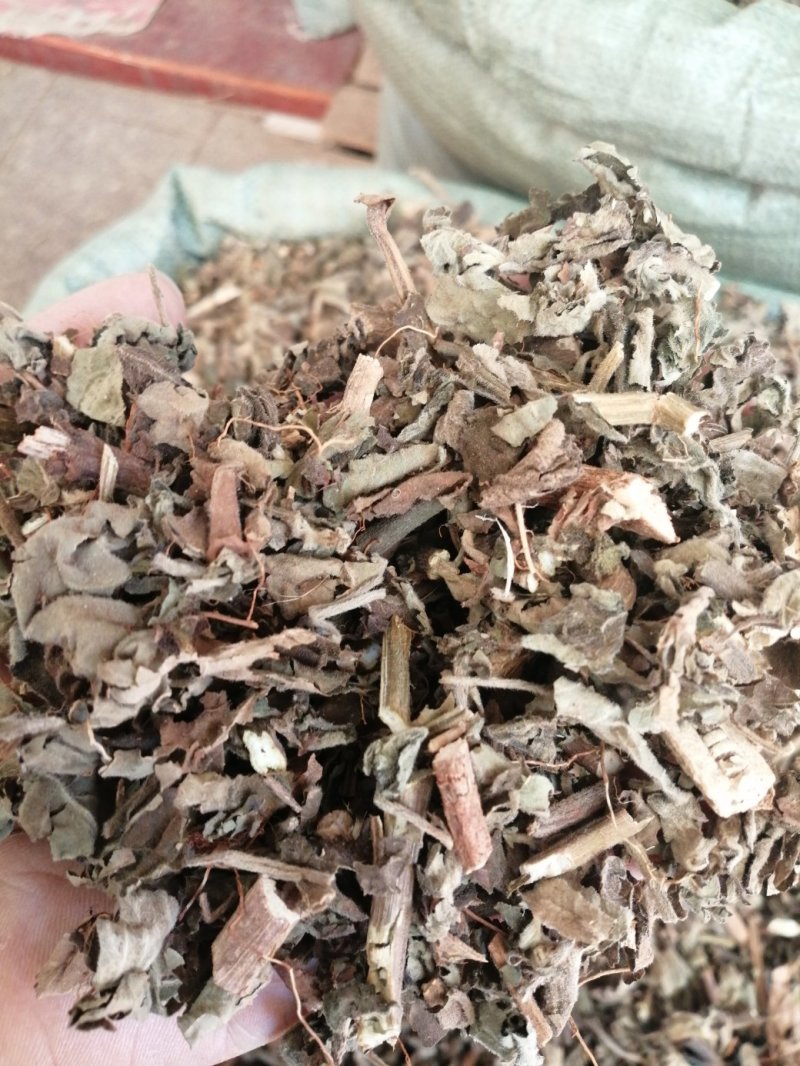 广藿香，广东产地直销新货，各种规格出售，大量现货供应！