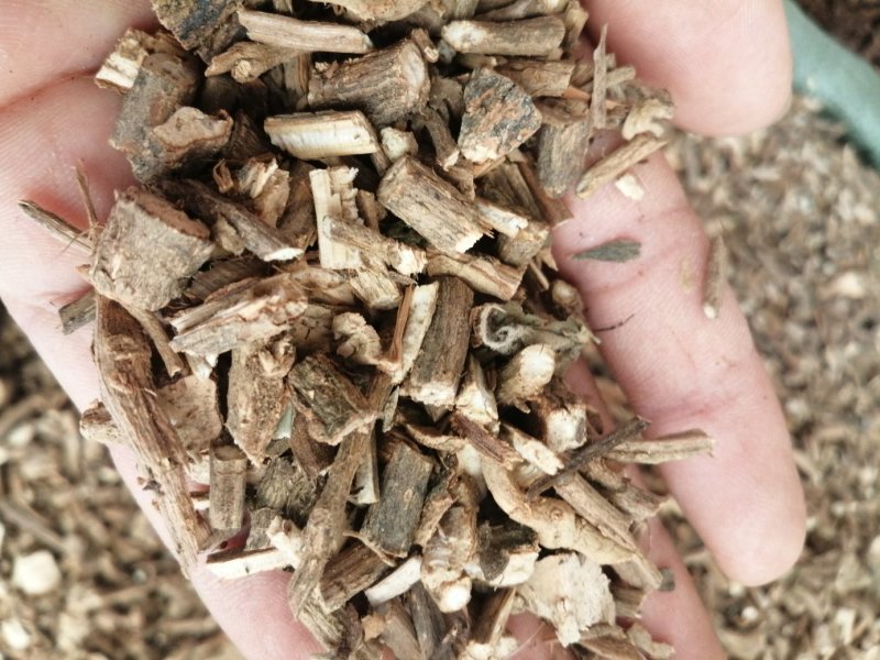 广藿香，广东产地直销新货，各种规格出售，大量现货供应！