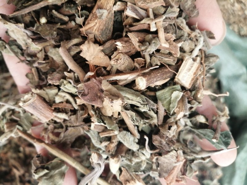 广藿香，广东产地直销新货，各种规格出售，大量现货供应！