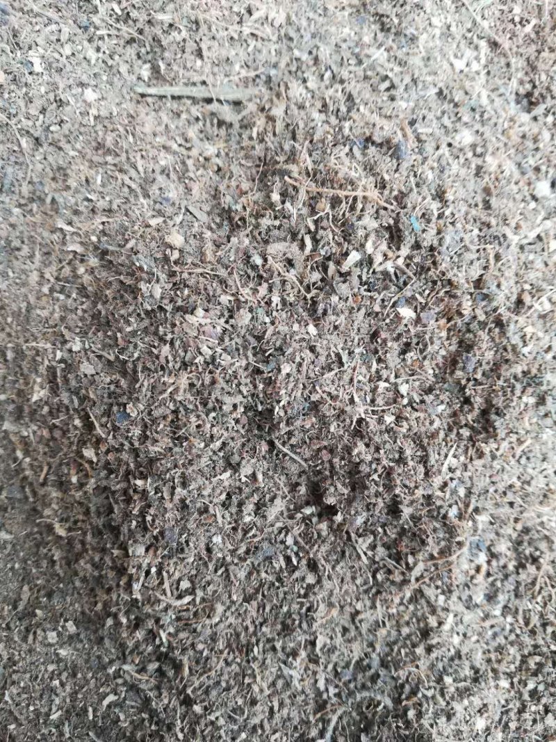 广藿香，广东产地直销新货，各种规格出售，大量现货供应！