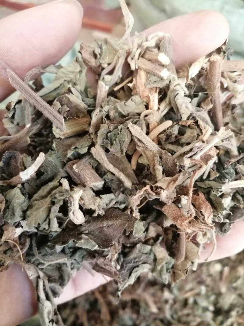 广藿香，广东产地直销新货，各种规格出售，大量现货供应！