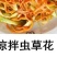 虫草花无硫新货干品金虫草煲汤食材养生包邮