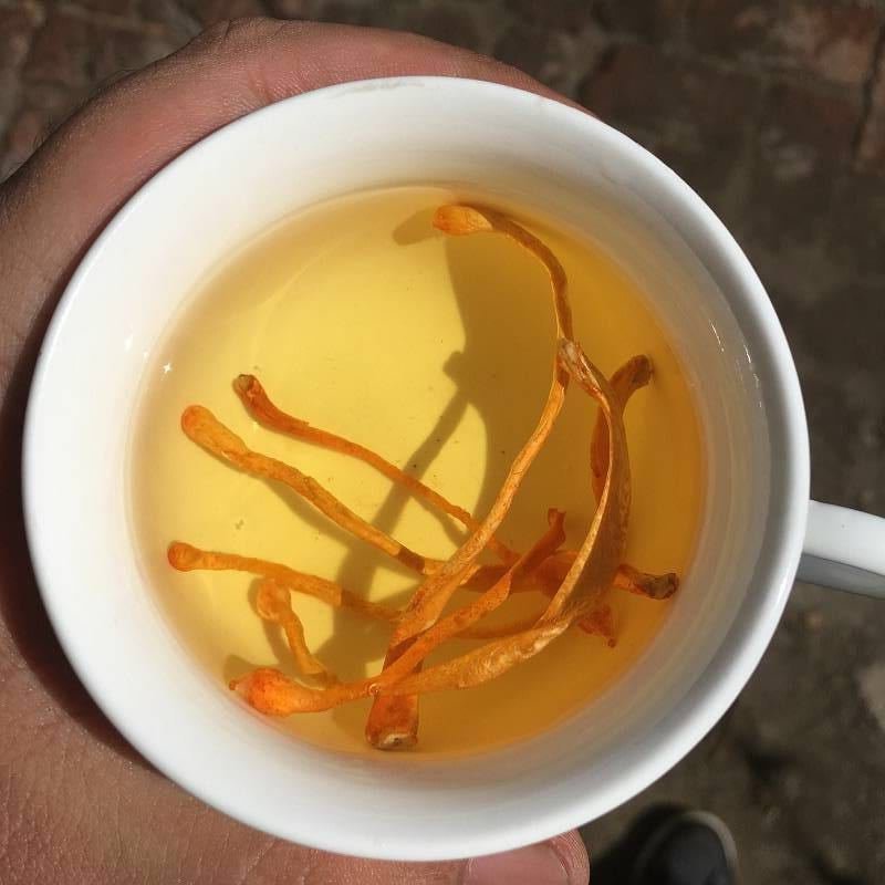 虫草花无硫新货干品金虫草煲汤食材养生包邮