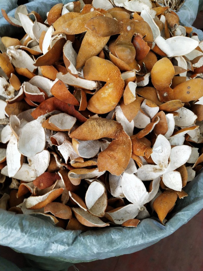 陈皮，阵皮药食同源，既是好中药也是常用的香料煲汤好食材