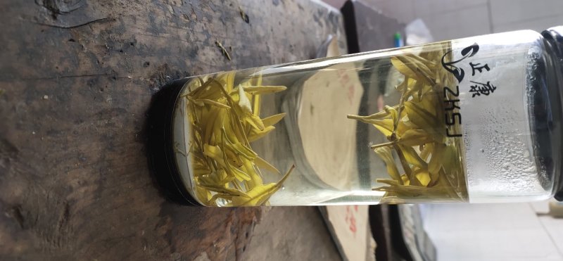 黄金芽，白茶，绿茶
