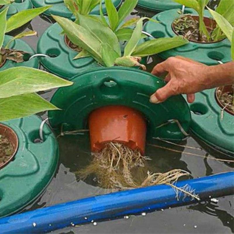 永信水生植物生态浮岛专业组装当年见效保质保量