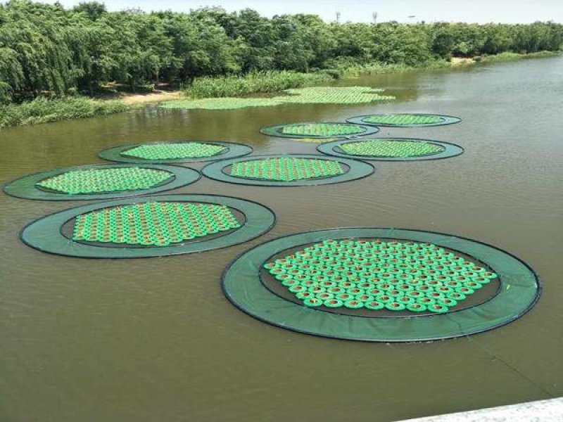 永信水生植物人工浮岛保质保量厂家直销无中间商
