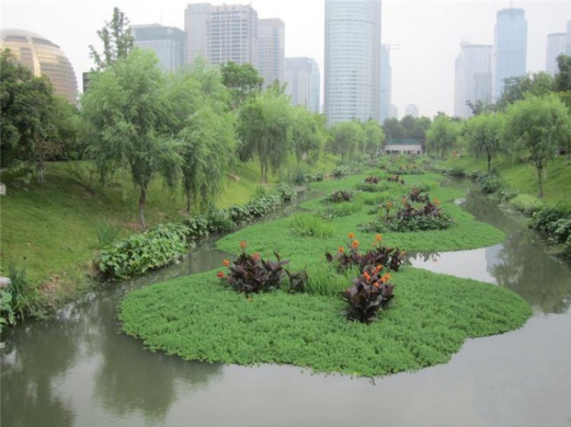永信水生植物人工浮岛保质保量厂家直销无中间商