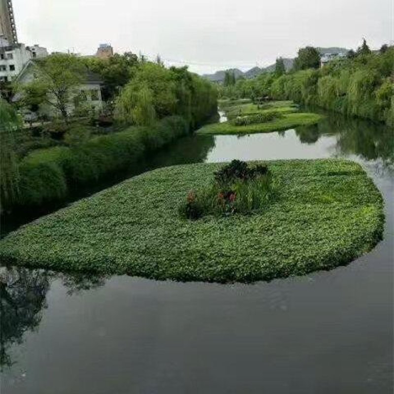 永信水生植物人工浮岛保质保量厂家直销无中间商