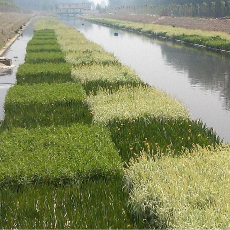 永信水生植物人工浮岛保质保量厂家直销无中间商