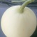 甜瓜白莎蜜甜瓜1斤以上，口感甜脆，一手货源，随到随收