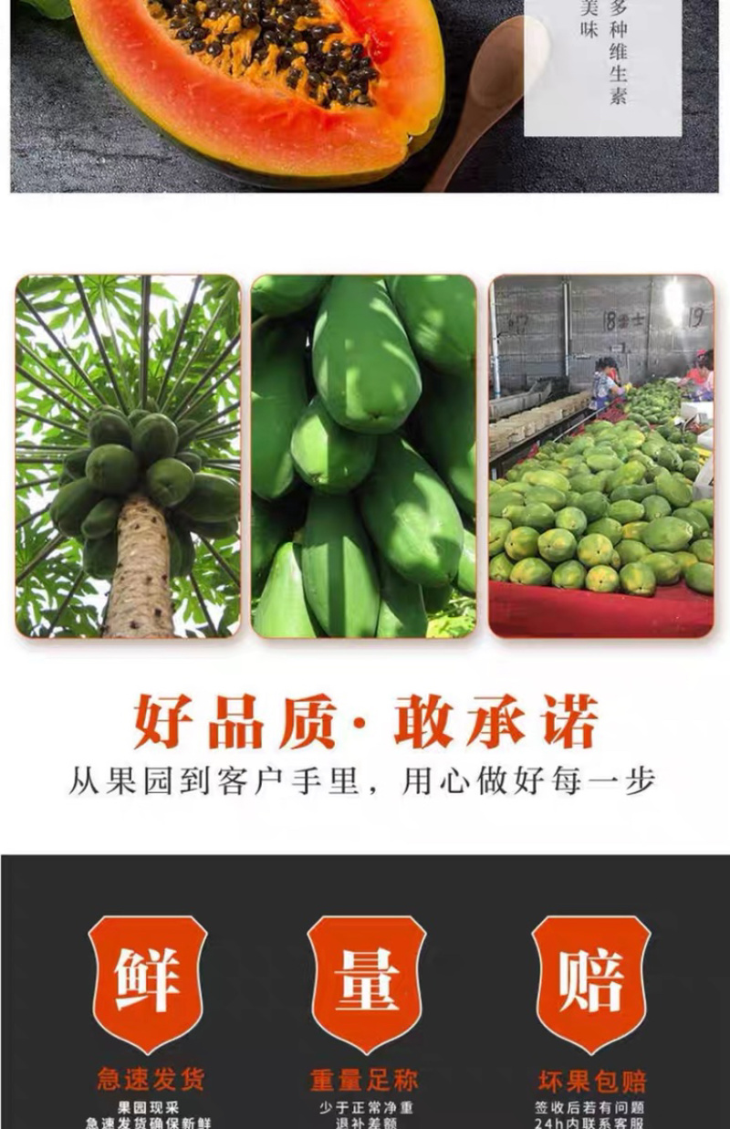 一件代发包邮，10斤甜心木瓜，坏果包赔！！