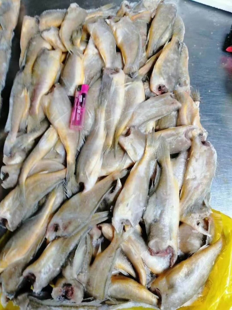 小黄花鱼陆冻小包装4斤品质佳