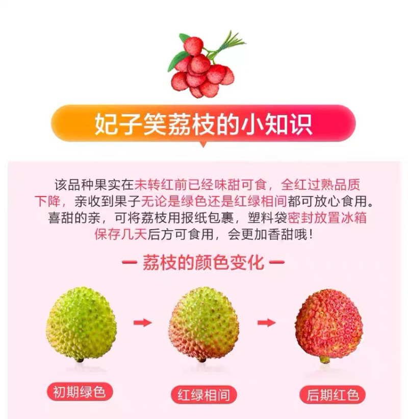 5斤妃子笑荔枝上新、一件代发坏果包赔！！