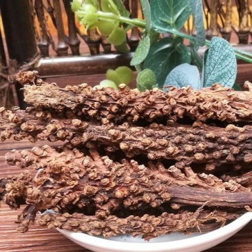虎鞭草，子孙草产地直供道地药材，药典标准支持线上交易