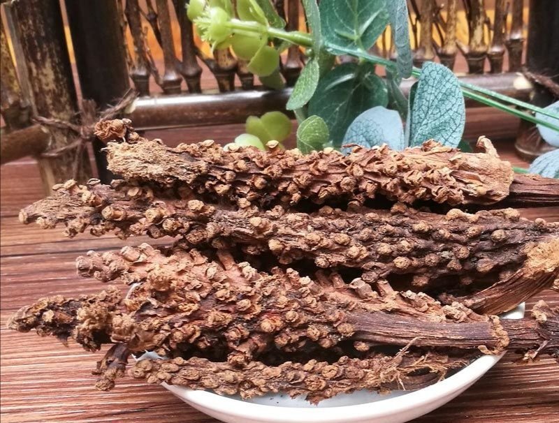 虎鞭草，子孙草产地直供道地药材，药典标准支持线上交易