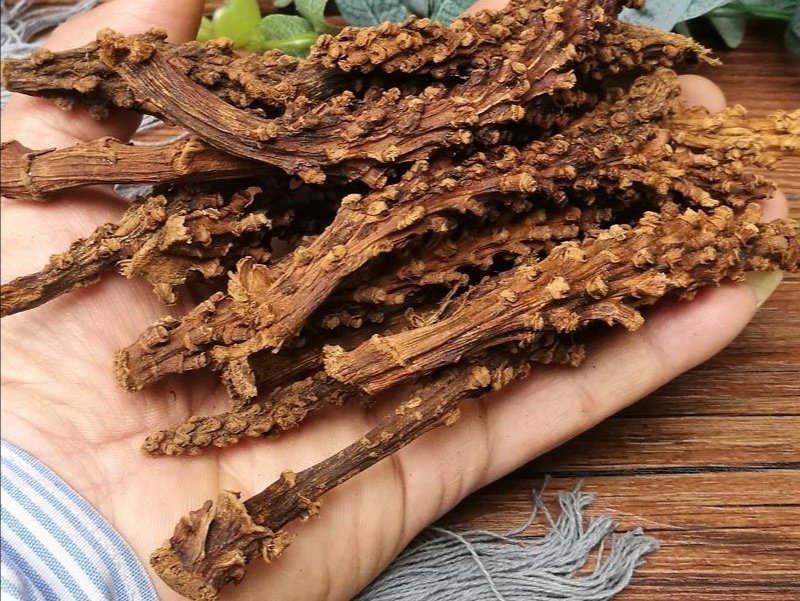 虎鞭草，子孙草产地直供道地药材，药典标准支持线上交易