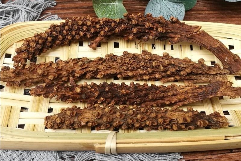 虎鞭草，子孙草产地直供道地药材，药典标准支持线上交易