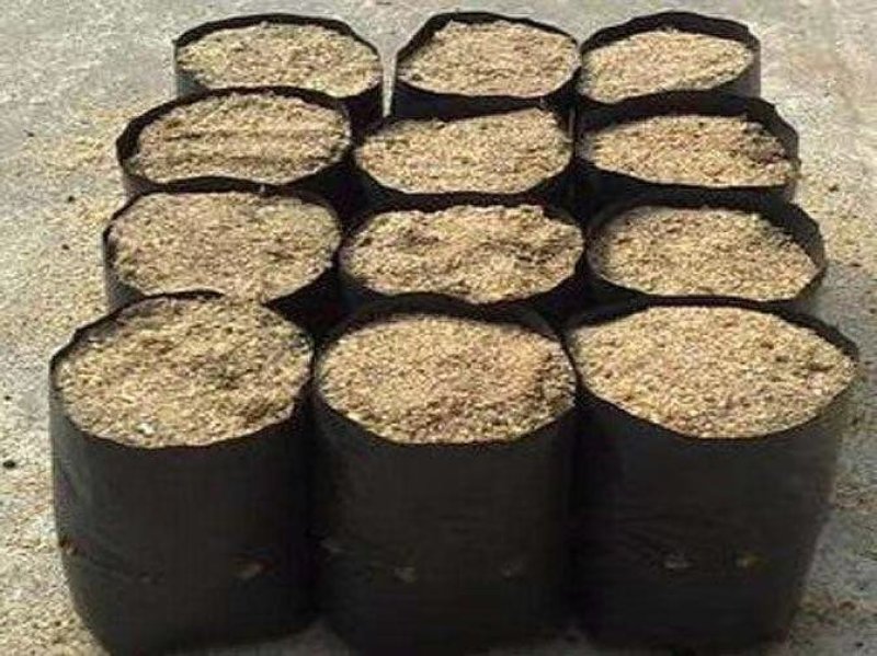 加厚PE育苗袋柑桔脐橙等果树营养杯厂家直销支持订做