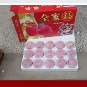 黄土高原红富士苹果
