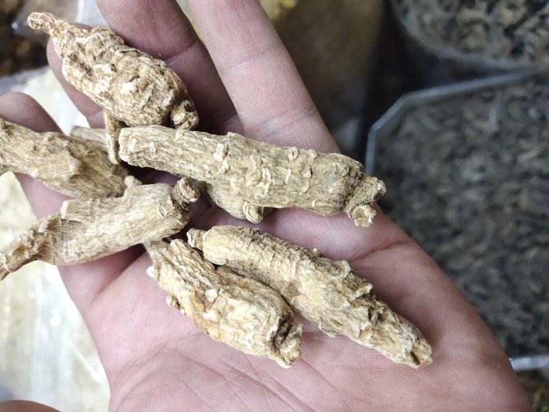 西洋参丛林参全新(包邮除偏远地区外)