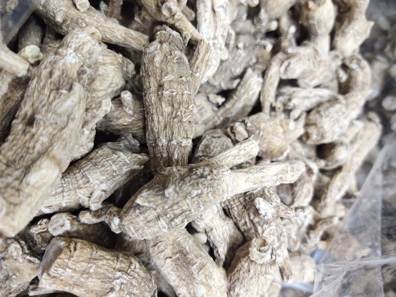 西洋参丛林参全新(包邮除偏远地区外)