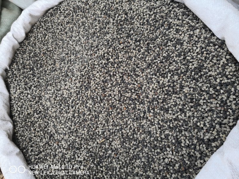 蔓荆子国产药用选货江西干货2斤包邮量大从优
