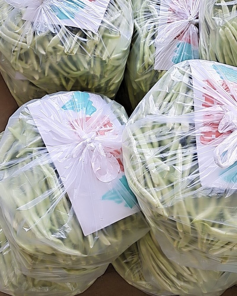 【牛商推荐】山东单县油豆角全国发货协助找车打包