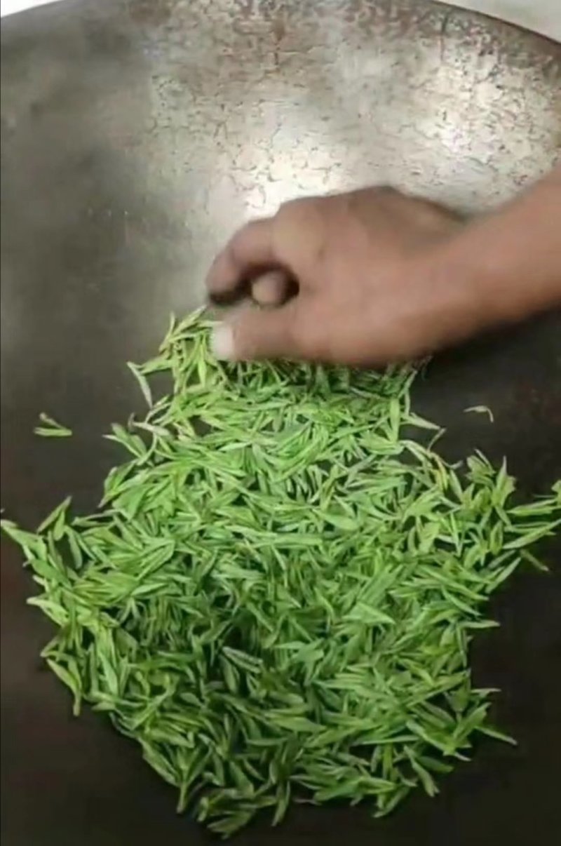 岳西翠兰