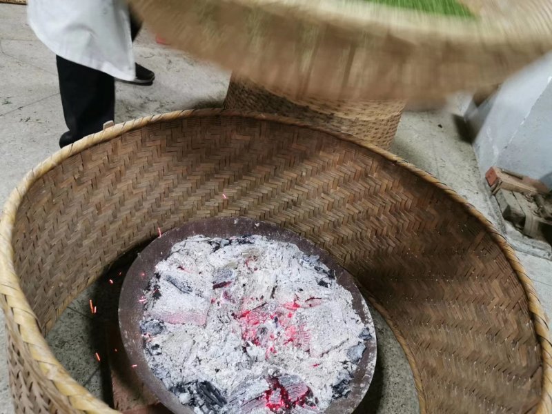 岳西翠兰
