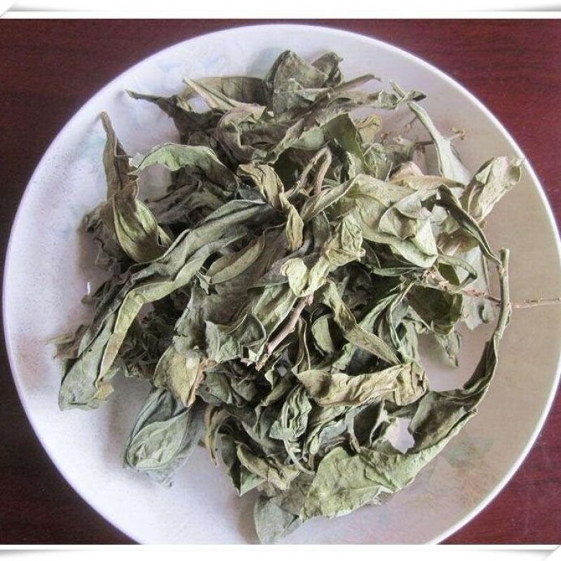 龙脷叶，产地直供道地药材，药典标准支持线上交易保障