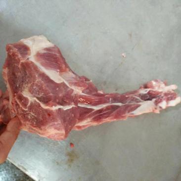 冻猪产品国产的母猪尾骨