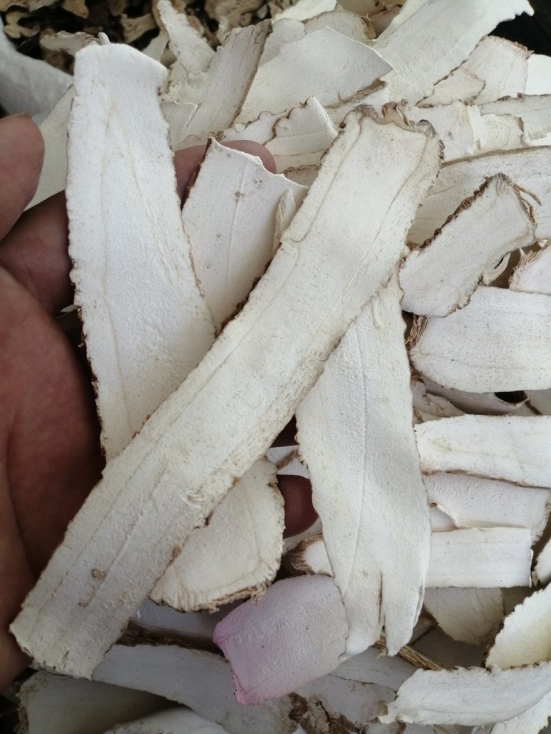 白芷，白芷薄长片选货、统货，长厚片选片、统片，色白干度好