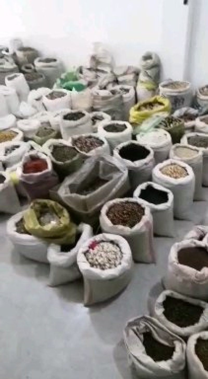 振兴药材批发供应指甲片黄芪产地货源批发价