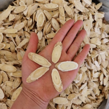 振兴药材批发供应指甲片黄芪产地货源批发价