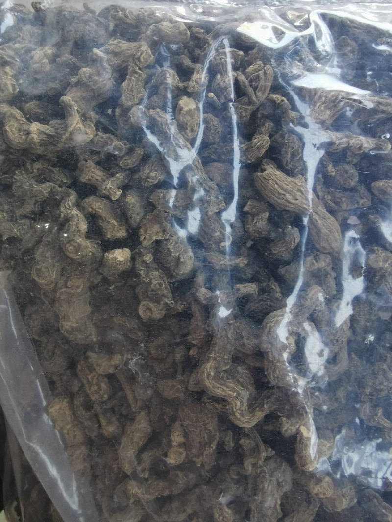 竹节参竹三七产地直销量大从优一手货源