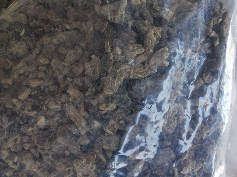 竹节参竹三七产地直销量大从优一手货源