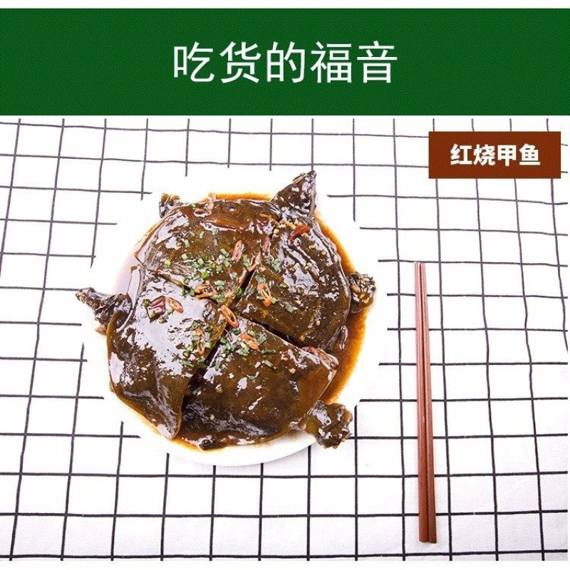 甲鱼苗活体食用水鱼团鱼海鲜活王八批发