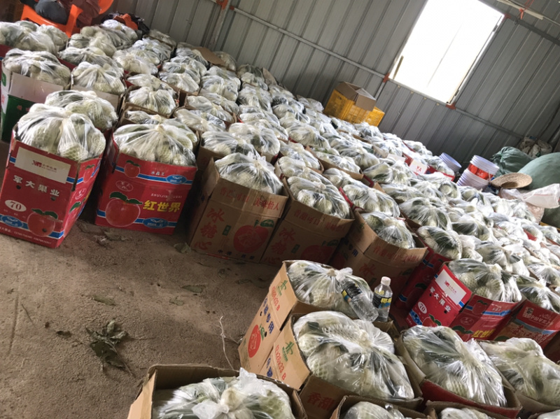 香甜爽口开胃珍珠番石榴