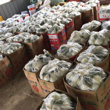 香甜爽口开胃珍珠番石榴