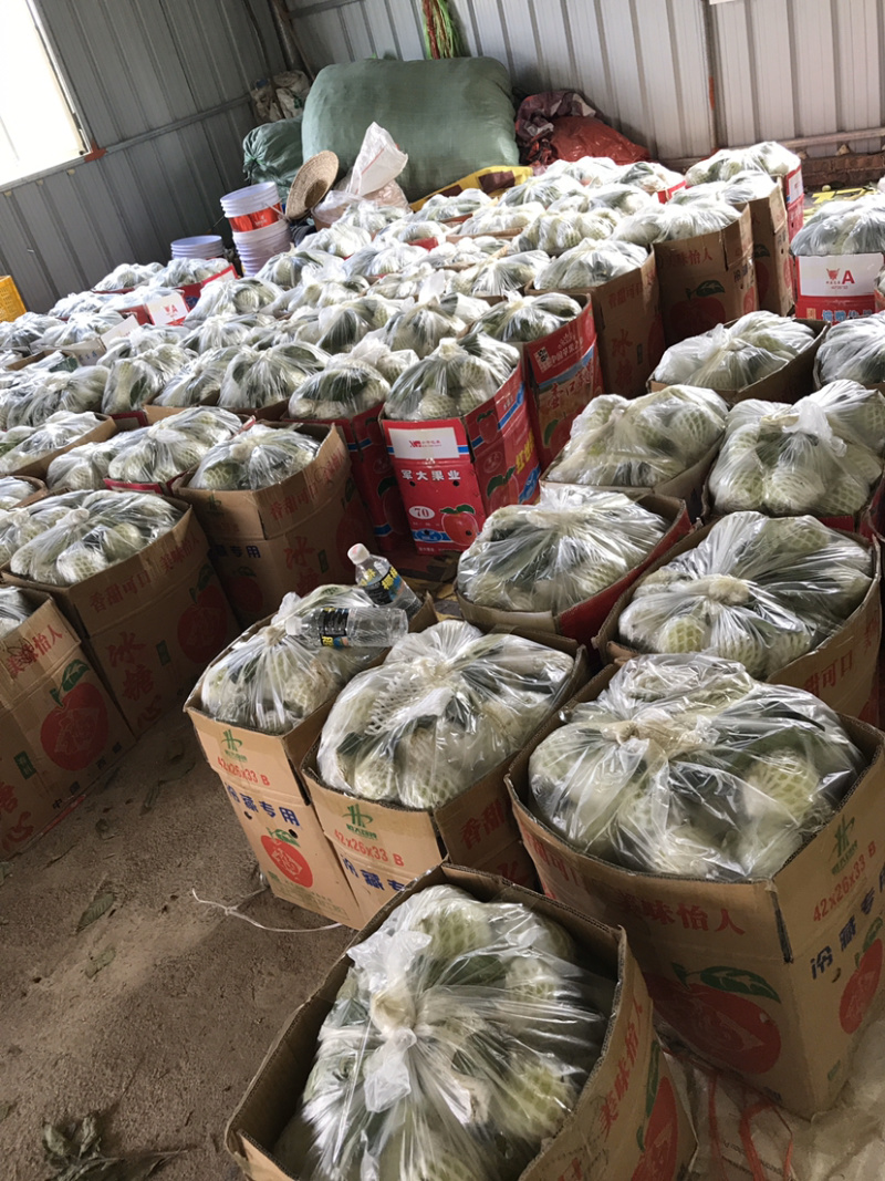香甜爽口开胃珍珠番石榴