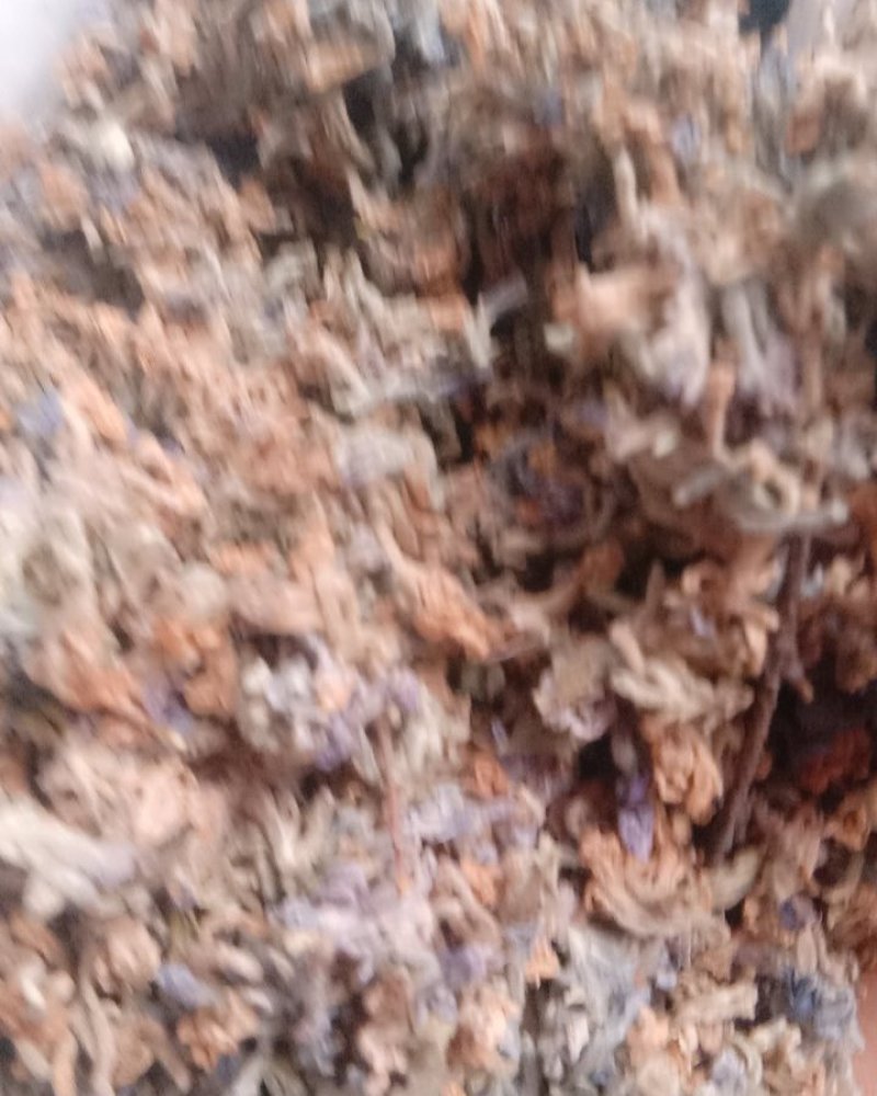 芫花，常年批发供应冷背中药材芫花