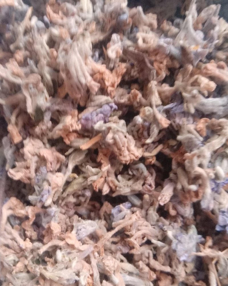 芫花，常年批发供应冷背中药材芫花