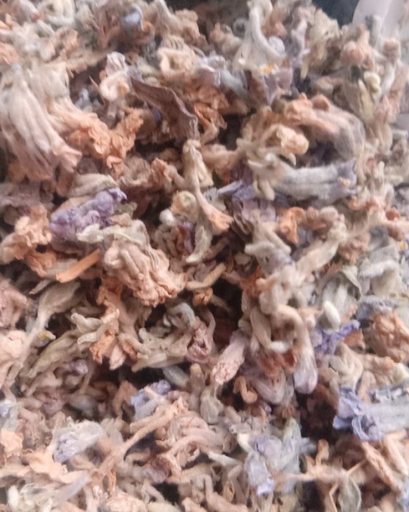 芫花，常年批发供应冷背中药材芫花