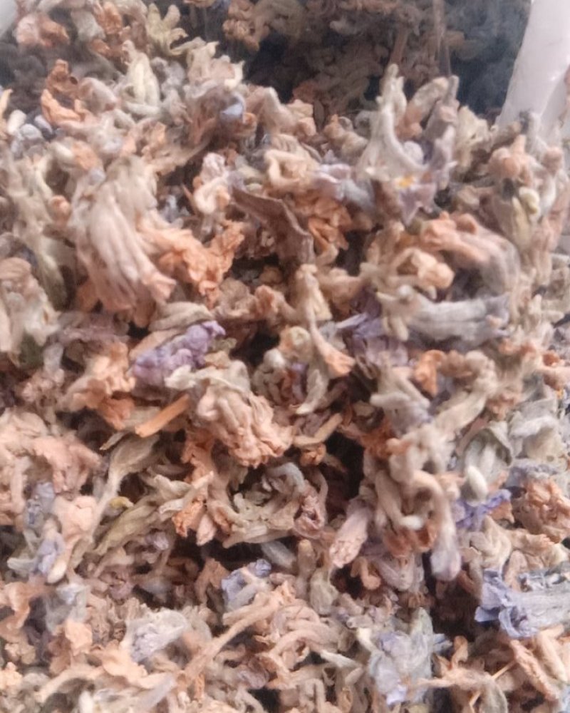 芫花，常年批发供应冷背中药材芫花