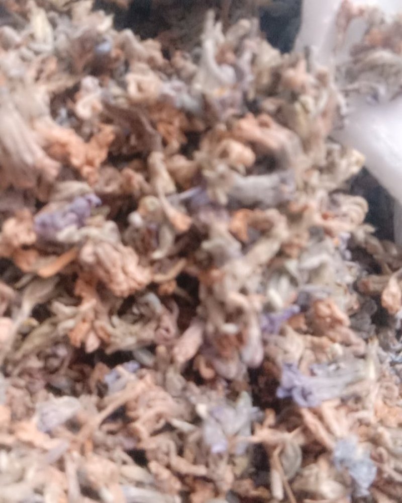 芫花，常年批发供应冷背中药材芫花