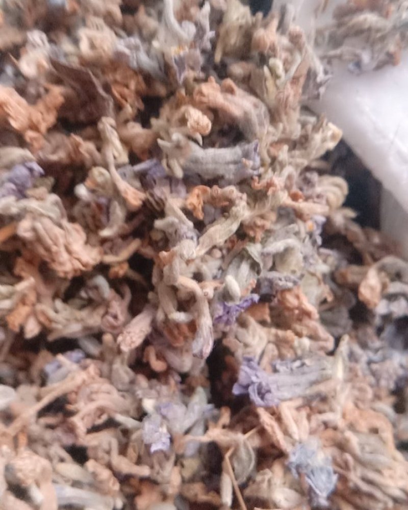 芫花，常年批发供应冷背中药材芫花