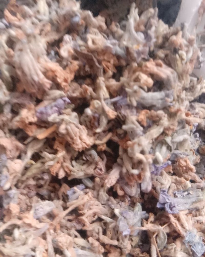 芫花，常年批发供应冷背中药材芫花