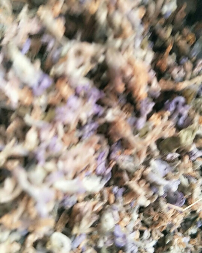 芫花，常年批发供应冷背中药材芫花，量大从优