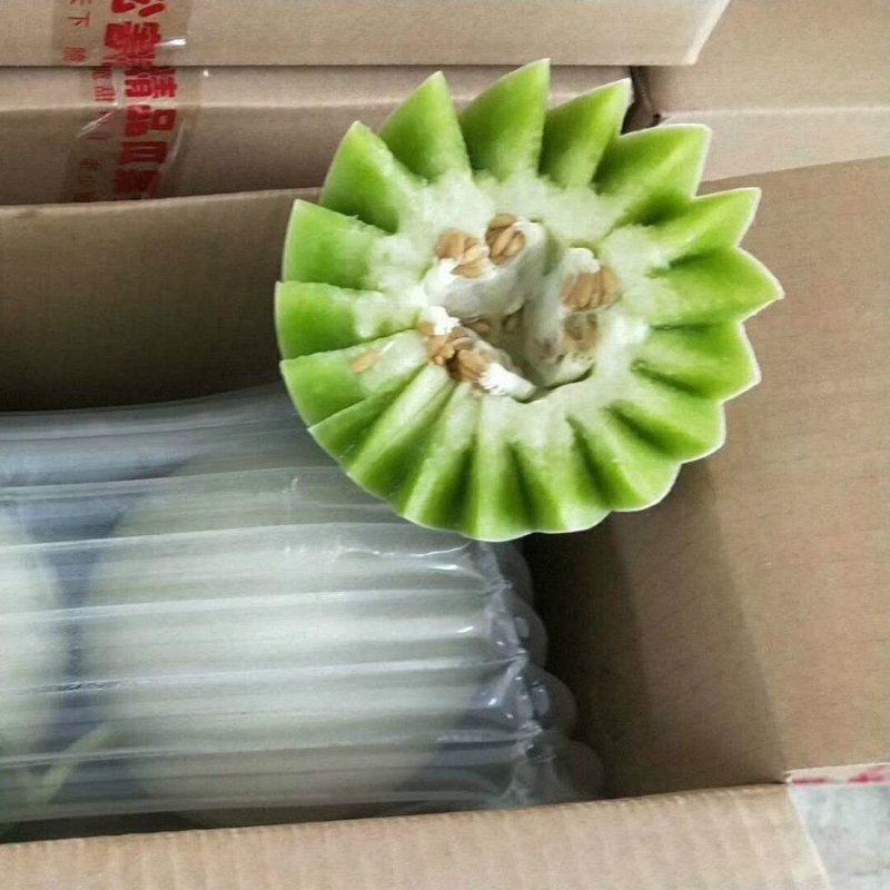 【支持一件】玉菇甜瓜，冰淇淋口感香甜，婴儿都可以吃的